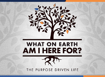 purpose-driven-340